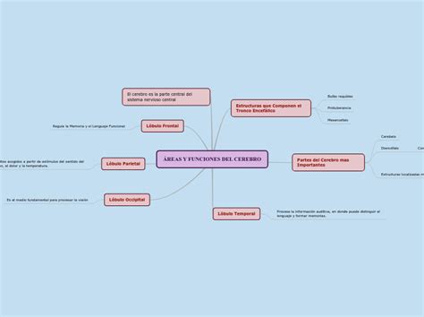 Áreas Y Funciones Del Cerebro Mapa Mental