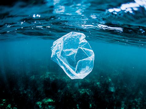 salado Realista barajar marine plastic pollution Flor de la ciudad ...