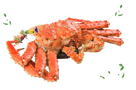 Live Alaskan King Crab