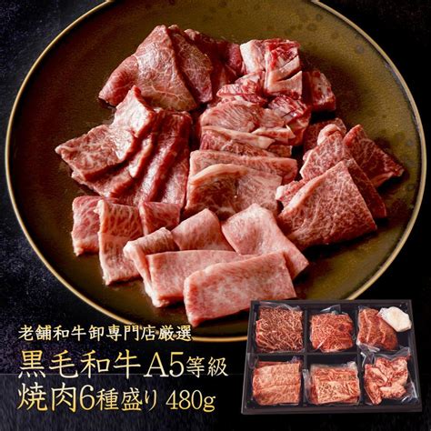 焼肉 セット 食べ比べ 老舗和牛専門卸厳選 黒毛和牛 A5等級 焼肉 6種盛 480g サーロイン ヘレ フィレ カイノミ カルビ バラ