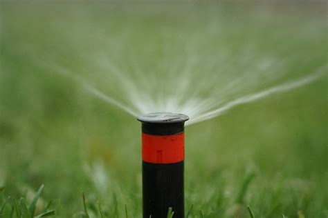 Be Smart With Your Sprinklers — Cycle And Soak Denver Water