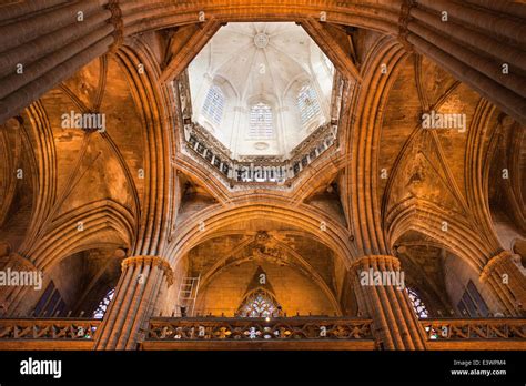 Gothic Cathedral Ceiling