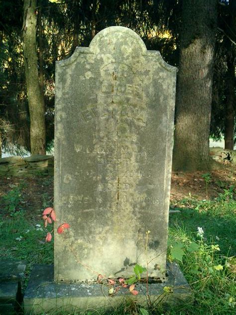 Evalina Schoonover Miller 1808 1884 Find A Grave Memorial