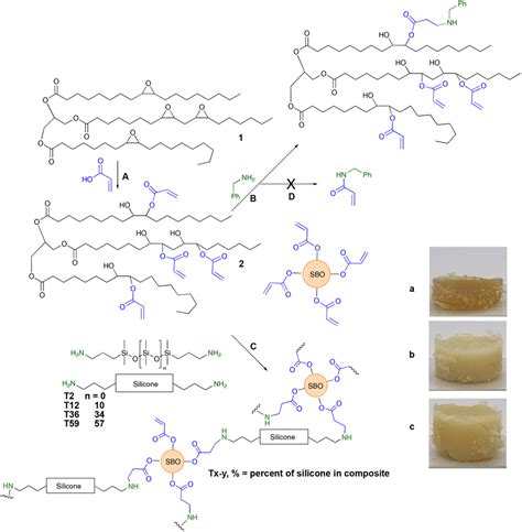 Acrylated Soybean Oil A Key Intermediate For More Sustainable