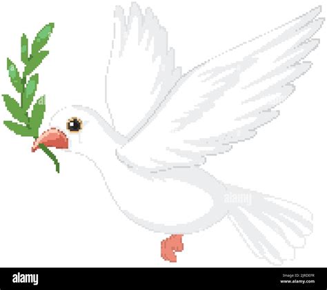 White Dove Carrying Leaf Illustration Stock Vector Image And Art Alamy