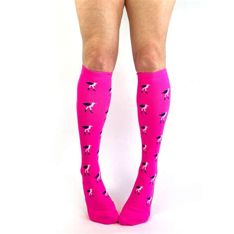 Flock On Sock Pink Lily Trotters