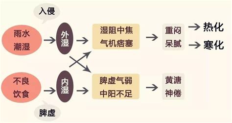 消化不良，病位虽在脾胃，却与肝脏相关，治疗应从这几个方面入手 知乎