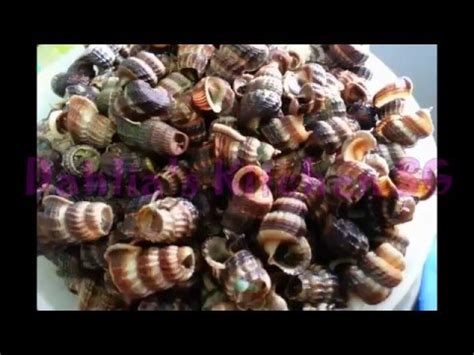 SIPUT SEDUT DK YouTube