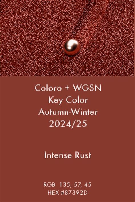 WGSN Key Color Intense Rust A W 2024 25 Trends Color Wgsn