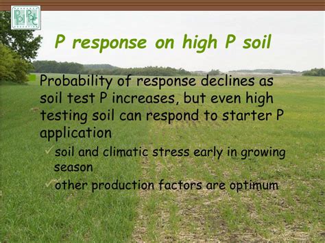 Ppt Terry L Roberts Potash And Phosphate Institute Potash And Phosphate