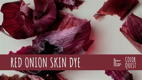 HOW TO MAKE NATURAL DYE WITH RED ONION SKIN ORGANIC COLOR PINK