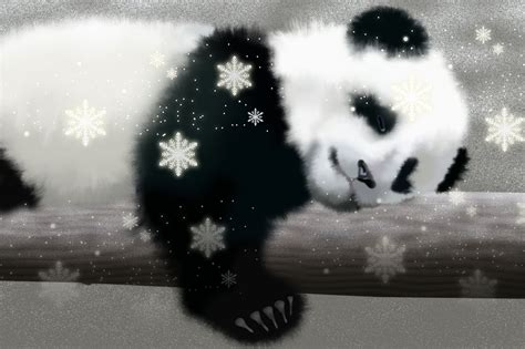 Cute Anime Panda Wallpaper - WallpaperSafari