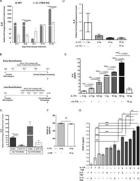 Il 17a Differentially Regulates Corneal Vascular Endothelial Growth