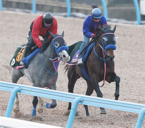 【フェブラリーs展望】混戦模様もウィルソンテソーロが中心か交流g1馬イグナイター、南関三冠馬ミックファイアの地方勢も注目：中日スポーツ・東京