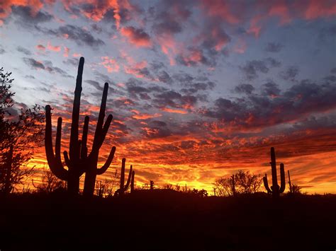 Tucson Mountain Park Sunrise : r/Tucson