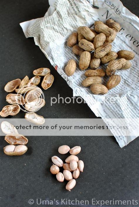 How to Boil Fresh Peanuts / Boiled Peanuts - Indian Curry Trail