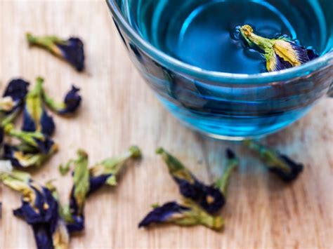 Butterfly Pea Flower Blue Tea Benefits And Side Effects