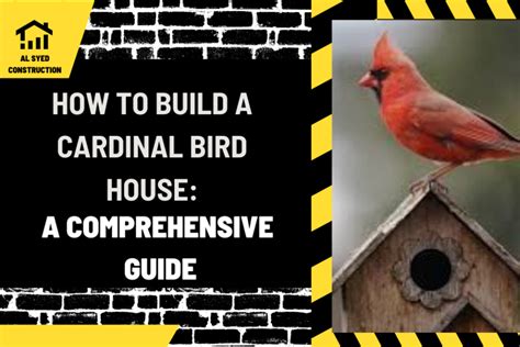 How To Build A Cardinal Bird House A Comprehensive Guide