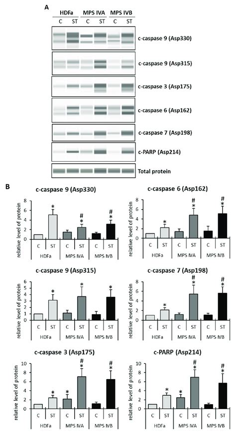 Relative Levels Of Cleaved Proteins In Cells With Staurosporine Induced