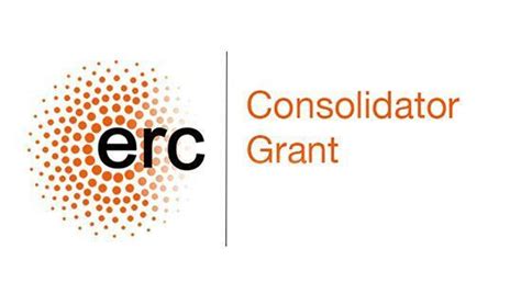 N Andra Submits Erc Consolidator Grant Proposal