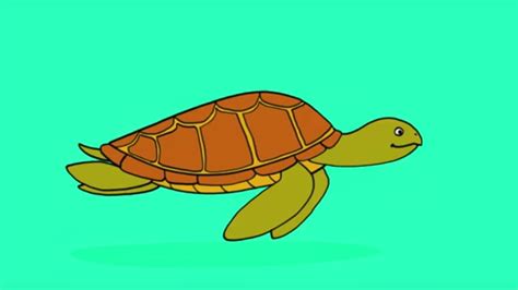 Apprendre à Dessiner Une Tortue De Mer Youtube