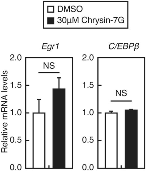 Effect Of Chrysin G On The Expression Of Egr And C Ebp In Huh