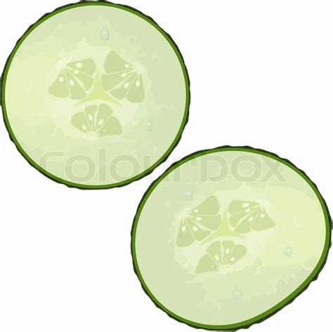 Cucumber slices clipart - Clipground