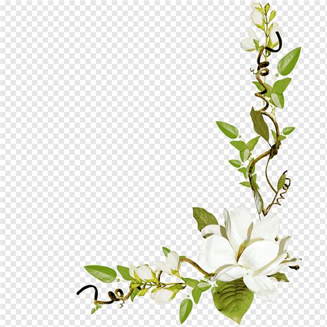 Blätter und weiße Blüten Blume Blumen Blumen Clipart png PNGWing