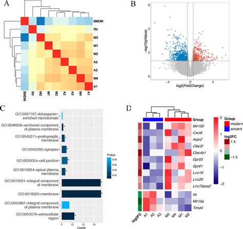 Differential Expression Analysis A Heatmap Showing The Correlation