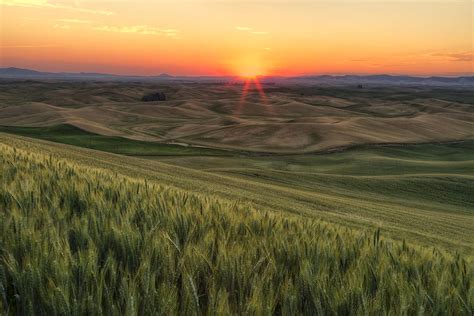 Palouse Sunrise Photograph by Mark Kiver - Pixels