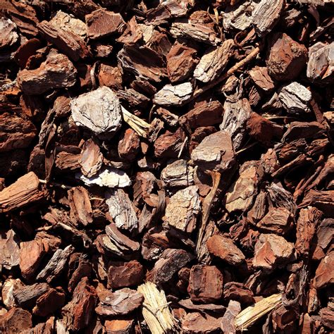 Medium Wood Bark Chips 1 Yard Earth And Turf Landscaping Edmonton