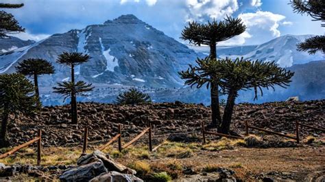 C Mo Estar El Tiempo En Neuqu N Los Detalles Del Clima Minuto Neuquen