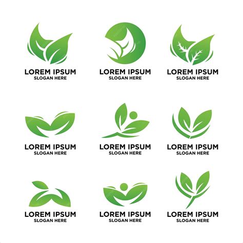 Premium Vector | Collection of leaf logo design template