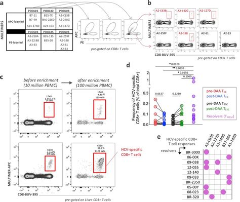 Detection And Frequency Of Hcv Specific Cd T Cells A Screening