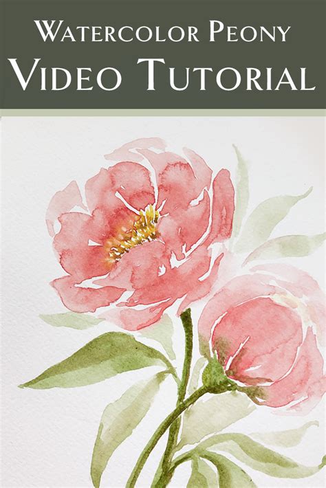 Loose Watercolor Peony Tutorial Updated — Katrina Crouch Blushed Design