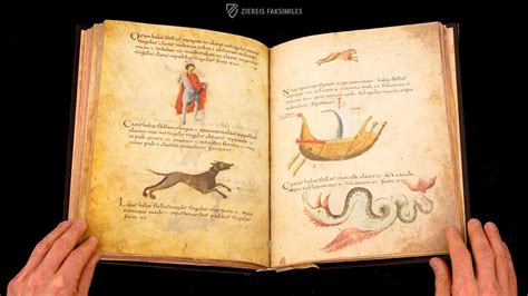 The Metz Codex Browsing Facsimile Editions K Uhd Youtube