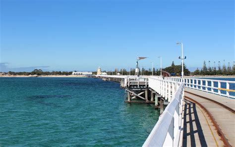 Busselton Jetty Train Ride Dolphin Discovery Day Tour