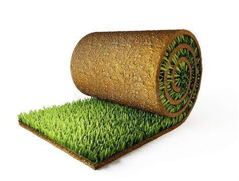 Sod Roll Stock Illustrations 77 Sod Roll Stock Illustrations Vectors And Clipart Dreamstime