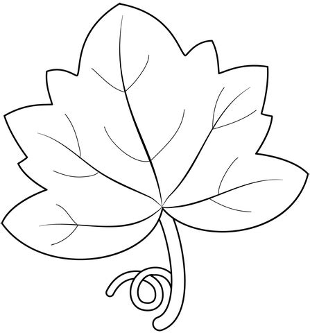 Coloriage Feuille de citrouille Coloriages à imprimer gratuits