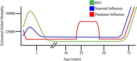 Frontiers Induction And Subversion Of Human Protective Immunity Contrasting Influenza And