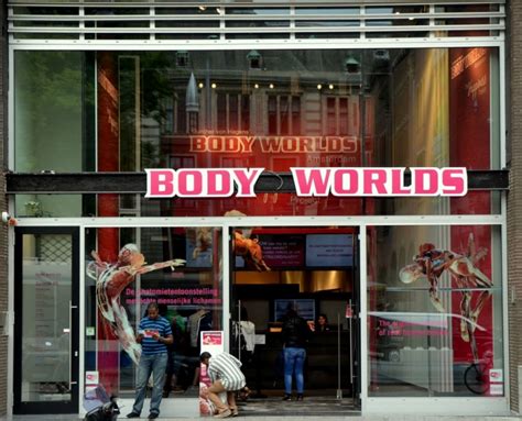 Body Worlds In Amsterdam Amsterdam Info