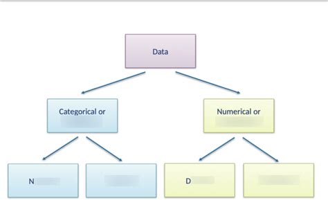hypothesis testing  statistical tests diagram quizlet