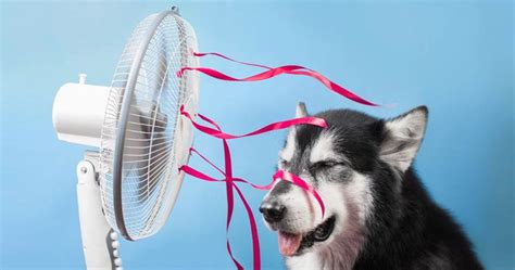 9 Simple Ways To Keep Cool During Hot Weather