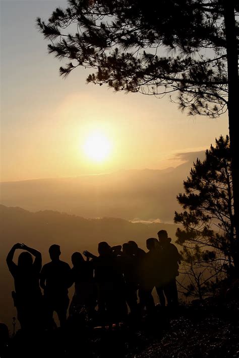 Online crop | HD wallpaper: sagada, sunrise, friendship, sky, silhouette, sunset, tree ...