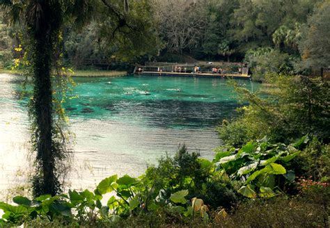 The 9 Best Natural Springs Near Orlando | CuddlyNest