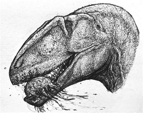 Carcharodontosaurus By Everett1107 On Deviantart