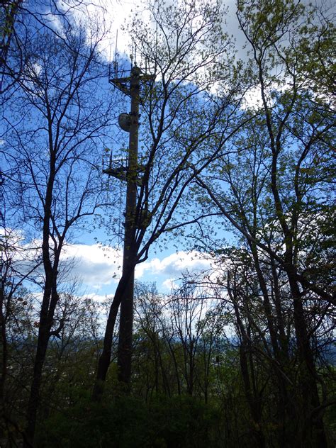 Kennesaw Mountain National Battlefield Park | Raven About The Parks | Raven About The Forests