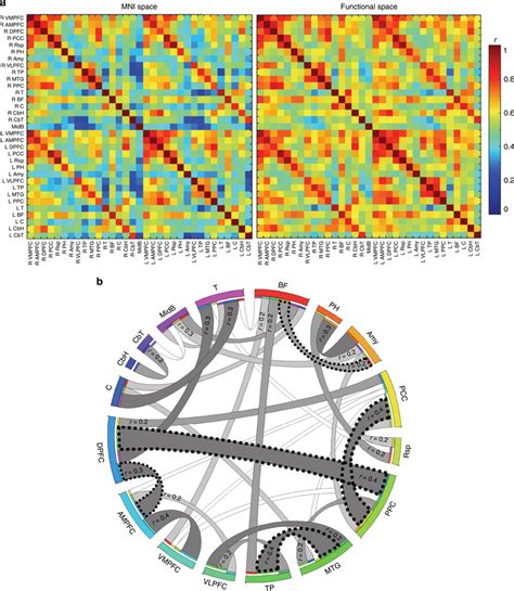 Functional Connectivity A Matrices Of The Pearson’s Correlations Download Scientific Diagram