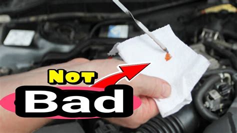 How To Tell If Your Transmission Bad Whining Noise P P P