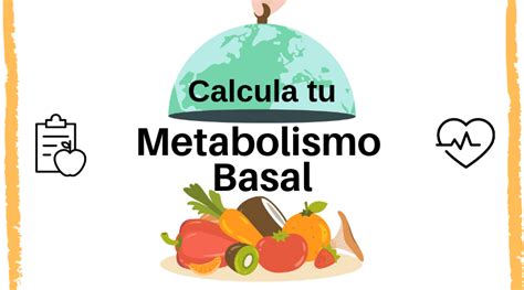 Como Calcular El Metabolismo Basal Para Adelgazar Conhe A Os